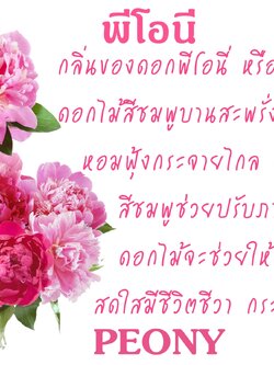 Scentnature ก้านไม้หอมอโรม่าปรับอากาศScentnature กลิ่น Peony