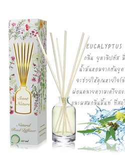 Scentnature ก้านไม้หอมอโรม่าปรับอากาศScentnature กลิ่น Eucalyptus Mint
