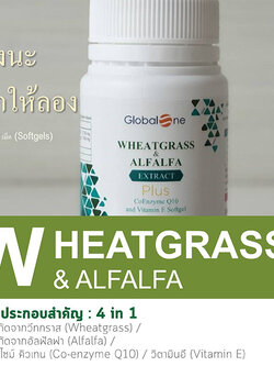 Global One ผักเม็ดWheatgrass & Alfalfa Extract Plus