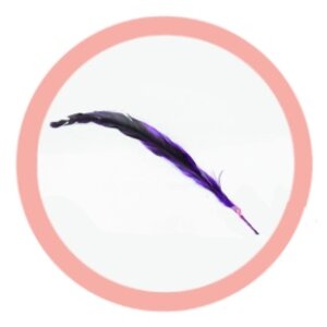 ขนนกไล่สี