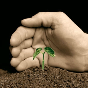 สินค้าเกษตร