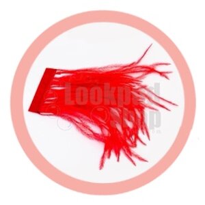 ขนนกกระจอกเทศ