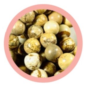 หินพิกเจอร์แจสเปอร์