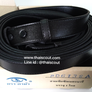 สายเนตรนารี