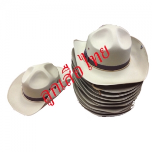 หมวกปีกลูกเสือสามัญ