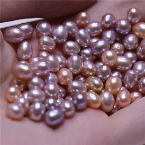 มุกน้ำจืดสีม่วง