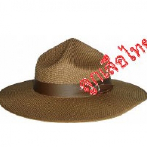 หมวกปีกครู, หมวกปีกผู้บังคับบัญชา ลูกเสือ