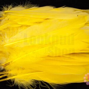 ขนนก (ก้าน) ราคายกแพ๊ค