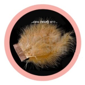 ขนนกมีริบบิ้น