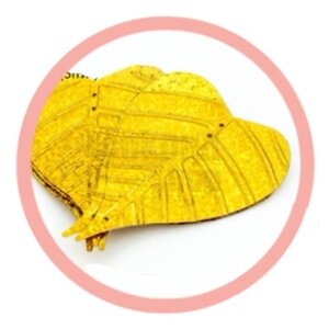 เลื่อมหัวใจ