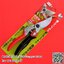 กรรไกรตัดกิ่งไม้ เออาร์เอส ARS Pruning Shears Rotary Type VS-8R