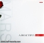 ThirtysecondstoMars - A Beatiful Lie 1Lp N.