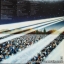 California Jam 2 1978 2Lp