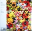 Sonic Youth - Nyc Ghosts & Flowers 1Lp N.
