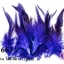 ขนนกก้าน ไล่สี สีม่วง (20ชิ้น)
