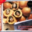 CD Silly fool - Juicy *New