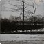 Steely Dan - Pretzel Logic 1Lp New