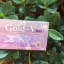 Gold Vice โกลด์ ไวซ์