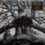 Mastodon - Hushed And Grim 2Lp N.