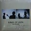 King Of Leon - When You See Yourself 2Lp N.