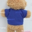 ตุ๊กตาพรีเมี่ยม เก้ายานยนต์ พวงกุญแจตุ๊กตาหมียืน5นิ้ว ใส่เสื้อ+สกรีนโลโก้ 1ด้าน D5505Q1000