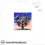 Talk Talk - Laughing Stock 1lp NEW