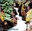 Cat Stevens - Back To Earth 1978 1lp