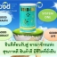 GOLD - N (โกลด์ เอ็นไซม์)