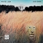 White Lion - Big Game