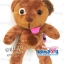 ตุ๊กตาพรีเมี่ยม เดี่ยว7 หมีไส้ทะลัก สูง10นิ้ว D5105Q1000