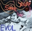 Sonic Youth - Evol 1Lp N.