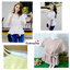เสื้อผ้าแฟชั่นสวยๆ เสื้อทำงานสีนู้ด ผ้าฮานาโกะ แต่งระบายเอว มีสายมัดโบว์ สวยหวานสไตล์เกาหลี ใส่ได้หลายสไตล์ เว้าคอ มีซิปหลัง ใส่ได้ทุกโอกาส