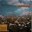 The Essential Love Songs 2Lp New