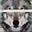 Thirty seconds to mars - this is war ( NEW2 LP.)