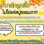 B'secret "Golden Honey Ball" "สบู่มาส์กลูกผึ้ง"