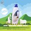 โลชั่นน้ำนมแกะ มิสทีน นิวซีแลนด์ ชีพ มิลค์ 600 มล. Mistine New Zealand Sheep Milk Body Lotion 600 ml.