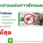 กาวเหนียวดักแมลง (ชนิดแผ่น ) 100 แผ่น