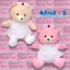 ตุ๊กตา หมีพยาบาล ผ้าทีเอฟ เล็ก-11"