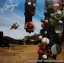 Steve Miller Band - Bingo 1Lp New