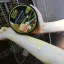 White Aura สครับนางงาม ไวท์ออร่า สูตรไพลนมผึ้ง