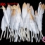ขนนกก้าน สีเทา ปลายสีทอง (1ห่อ/50 ชิ้น)