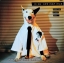 Rick Springfield - Working Class Dog 1984