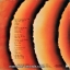 Stevie Wonder - Songs In The Key Of Life 2Lp N.