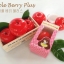 Apple Berry Plus (แอปเปิ้ลเบอร์รี่พลัส)