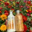 กันแดด ฮีร่า ซัน แคร์ บอดี้ โลชั่น HERAA Sun Care SPF30PA+++ 500ml