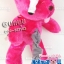 ตุ๊กตาพรีเมี่ยม เดี่ยว7 หมีไส้ทะลัก สูง10นิ้ว D5105Q1000
